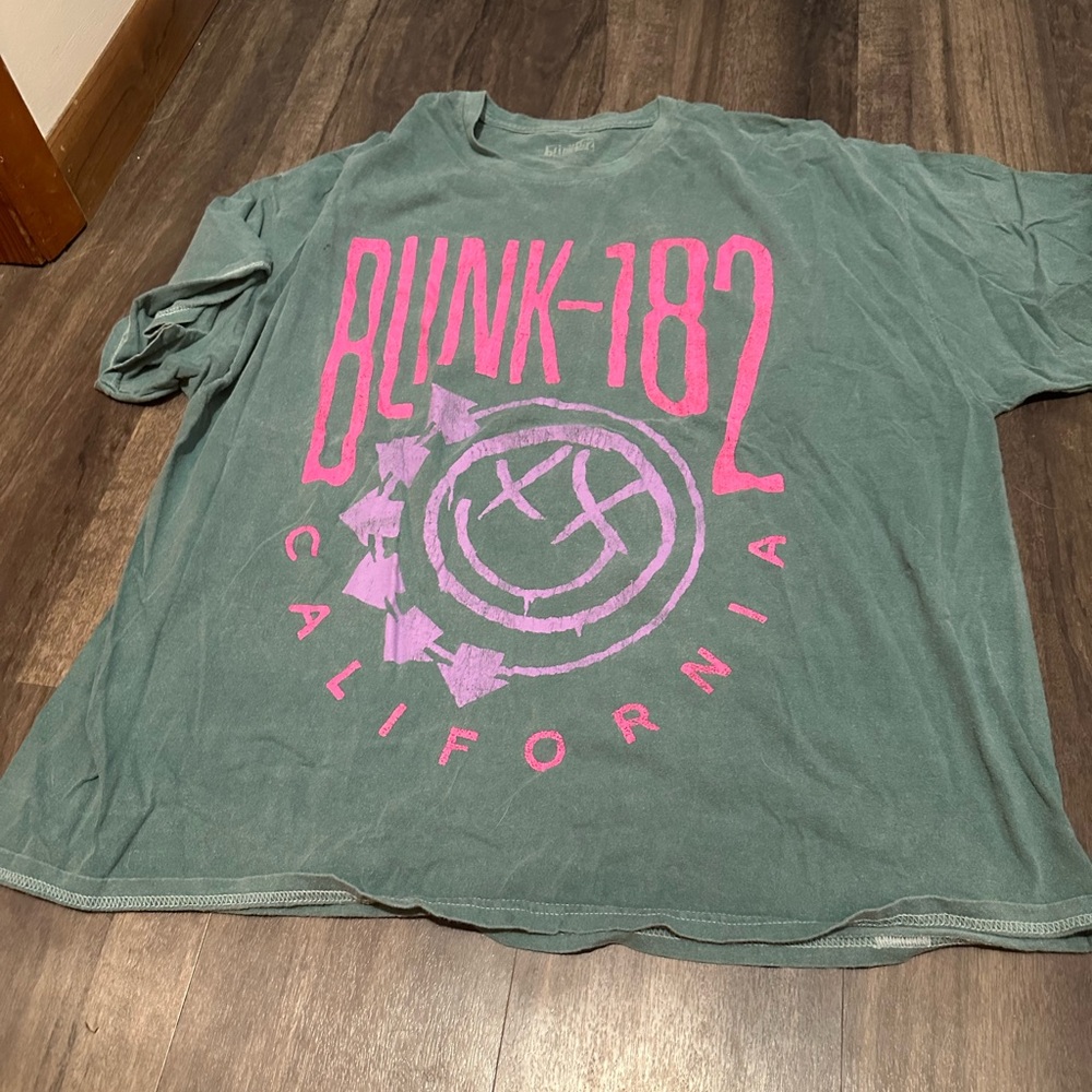 Oversized blink 182 Graphic Tee - Green and Pink
